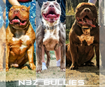 Small breeder photo
