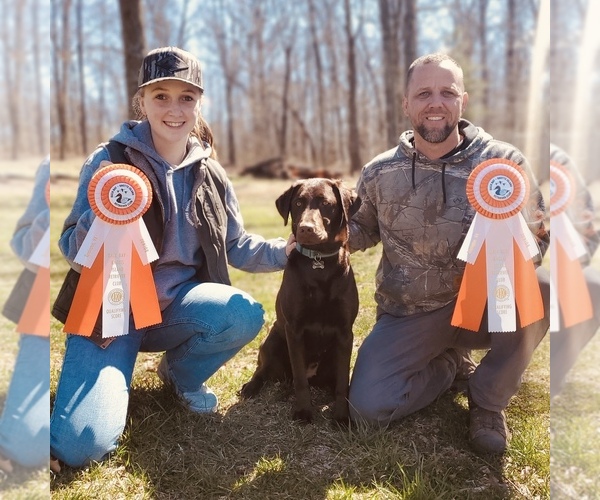 Medium Photo #1  Breeder Profile in WINCHESTER, VA, USA