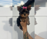 Small #1 Breeder Profile image