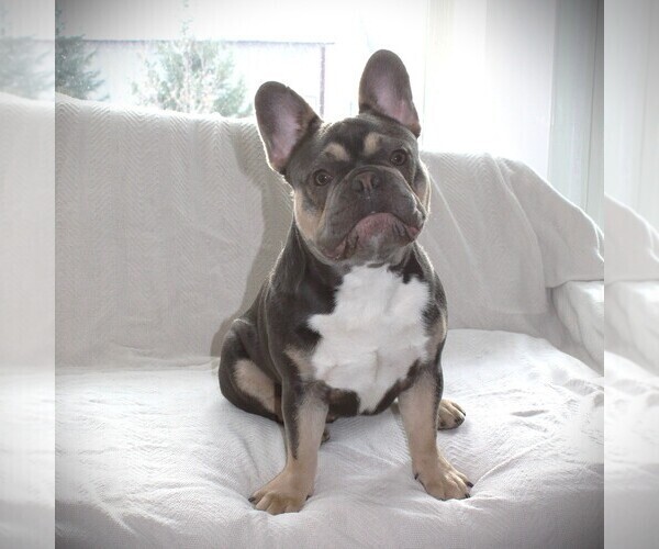 Medium Photo #4  Breeder Profile in HASTINGS, MN, USA