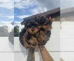 Small #13 Breeder Profile image