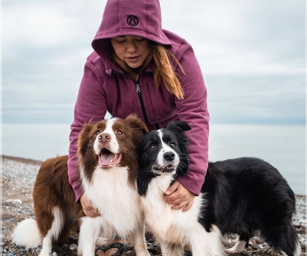 Medium Photo #13  Breeder Profile in BRYANTOWN, MD, USA