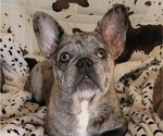 Small #3 Breeder Profile image