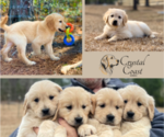 Small #6 Breeder Profile image
