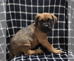 Small #11 Breeder Profile image