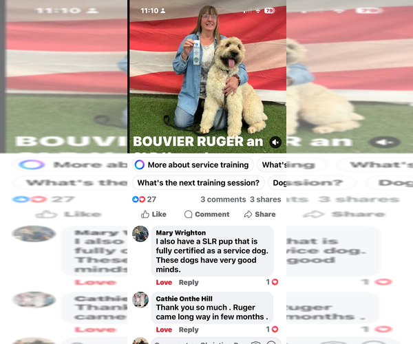 Medium Photo #20  Breeder Profile in LOUISVILLE, KY, USA