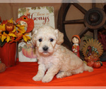 Small #58 Breeder Profile image