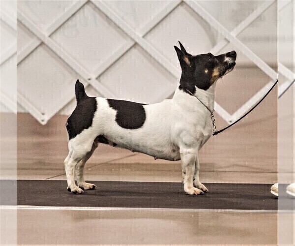Medium Photo #24  Breeder Profile in CLAREMORE, OK, USA