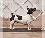 Small #23 Breeder Profile image