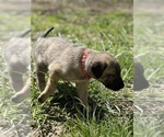 Small #7 Breeder Profile image