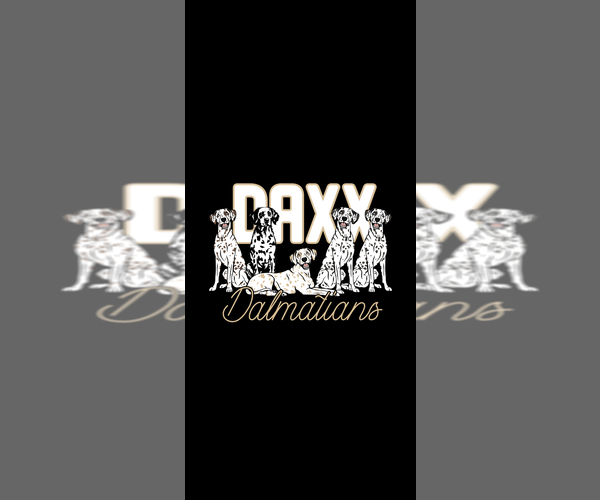 Medium Photo #1  Breeder Profile in HIGHLAND, IL, USA