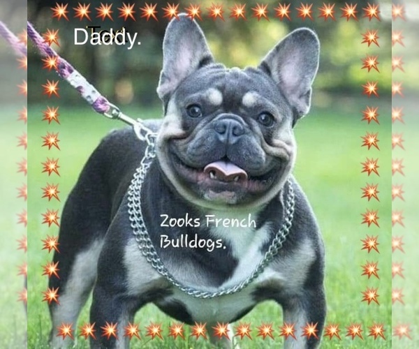 Medium Photo #12  Breeder Profile in FORT PLAIN, NY, USA