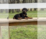 Small #12 Breeder Profile image