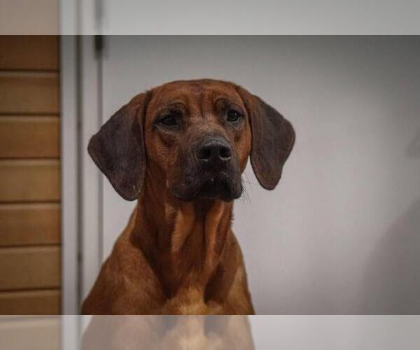 Medium Photo #21  Breeder Profile in ONEIDA, TN, USA