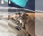 Small #19 Breeder Profile image