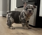 Small #12 Breeder Profile image