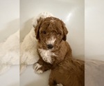 Small #12 Breeder Profile image