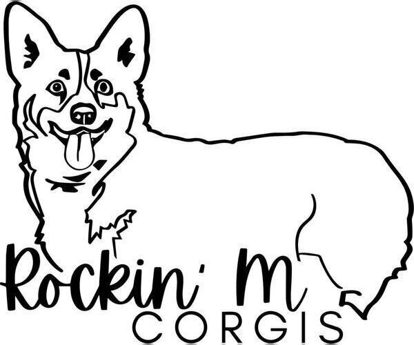 Medium Photo #1  Breeder Profile in CADDO, OK, USA