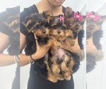 Small #20 Breeder Profile image