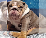 Small #3 Breeder Profile image