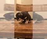 Small #6 Breeder Profile image
