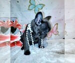 Small #7 Breeder Profile image