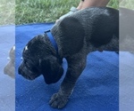 Small #4 Breeder Profile image
