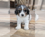 Small #15 Breeder Profile image
