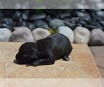 Small #5 Breeder Profile image