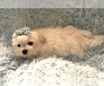 Small #2 Breeder Profile image