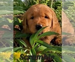 Small #25 Breeder Profile image
