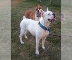 Small #1 Breeder Profile image