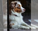 Small #4 Breeder Profile image