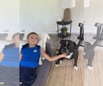 Small #55 Breeder Profile image