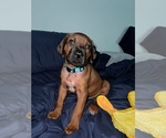 Small #55 Breeder Profile image