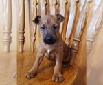 Small #7 Breeder Profile image