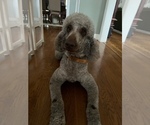 Small #2 Breeder Profile image