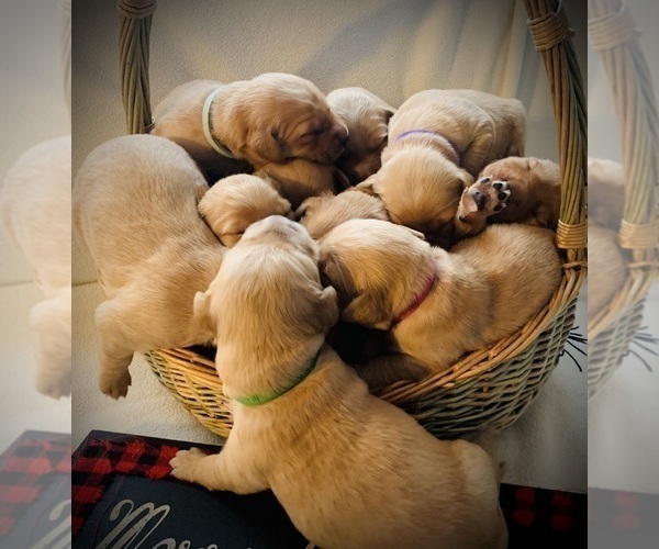 Medium Photo #7  Breeder Profile in LE ROY, MN, USA