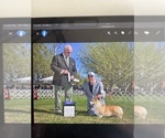 Small #6 Breeder Profile image