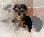 Small #6 Breeder Profile image