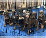 Small #8 Breeder Profile image