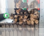 Small #321 Breeder Profile image