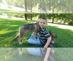 Small #15 Breeder Profile image