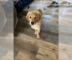 Small #23 Breeder Profile image