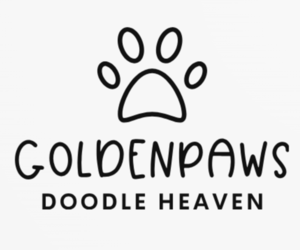 Goldendoodle Dog Breeder near PALMDALE, CA, USA