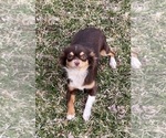 Small #97 Breeder Profile image