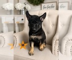 Small #1 Breeder Profile image
