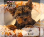 Small #15 Breeder Profile image