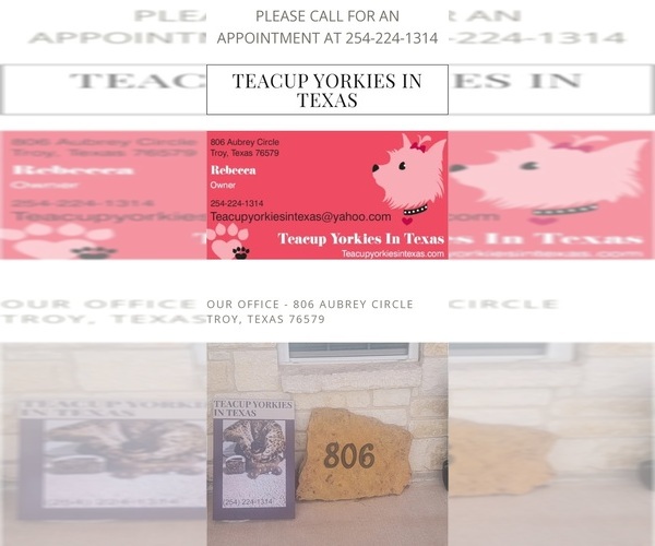 Medium Photo #1  Breeder Profile in TROY, TX, USA