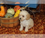 Small #15 Breeder Profile image